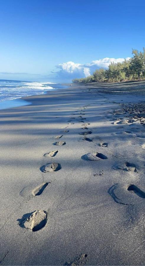 Location Saisonniere Meublee F2 St Leu Face Ocean A 1 Min Plage Apartman Saint-Leu Kültér fotó
